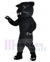 Panther mascot costume