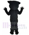 Panther mascot costume