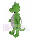 Dragon mascot costume