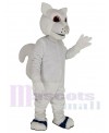 Squirrel mascot costume