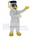 Owl mascot costume