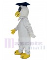 Owl mascot costume