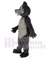 Wolf mascot costume