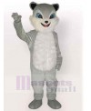 Cat mascot costume