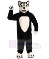 Wolf mascot costume