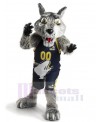 Wolf mascot costume