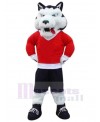 Wolf mascot costume