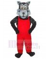 Wolf mascot costume