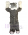 Wolf mascot costume