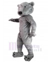 Wolf mascot costume