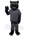 Panther mascot costume