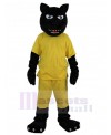 Panther mascot costume