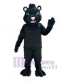 Panther mascot costume