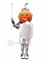 knight mascot costume