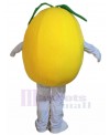 Pear mascot costume