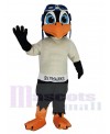 Skyhawk mascot costume