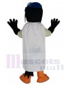 Skyhawk mascot costume