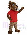 Cougar mascot costume