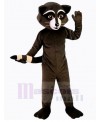 Raccoon mascot costume