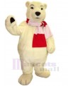 Bear mascot costume