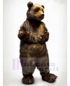 Bear mascot costume