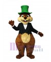 Squirrel mascot costume