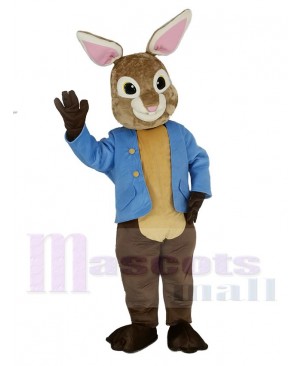 Brown and Gray Peter Rabbit Mascot Costume