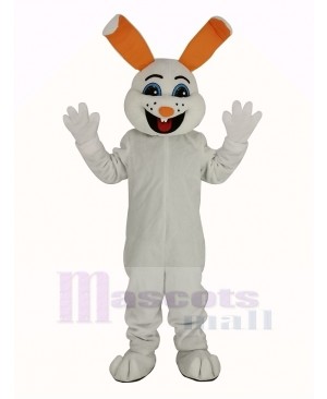 Easter Bunny Rabbit Mascot Costume Adult