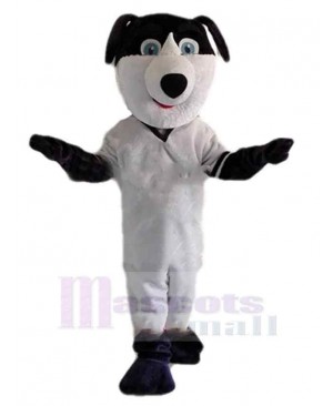 Black and White Dog Mascot Costume Animal with Blue Eyes