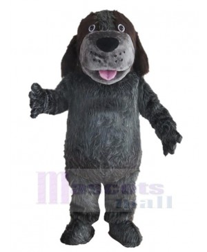 Lovely Dark Grey Husky Dog Mascot Costume Animal