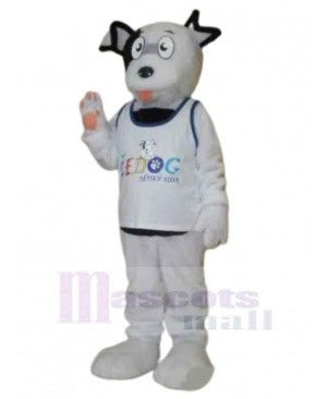 White Stray Dog of Pet House Mascot Costume Animal