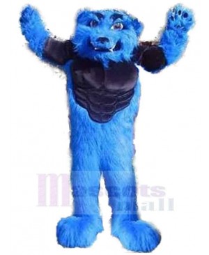 Fierce Blue Wolf Mascot Costume Animal Adult