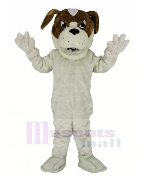 Saint Bernard Dog Mascot Costume Animal