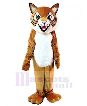 Outdoor Tiger Mascot Costume Animal