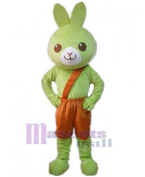 Green Rabbit Mascot Costume Animal